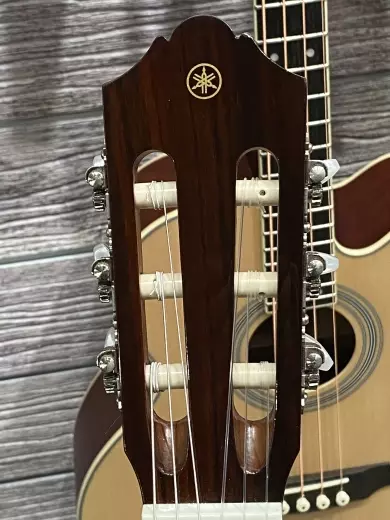 Store Special Product - Yamaha - Classical Guitar Cedar/Ovankol